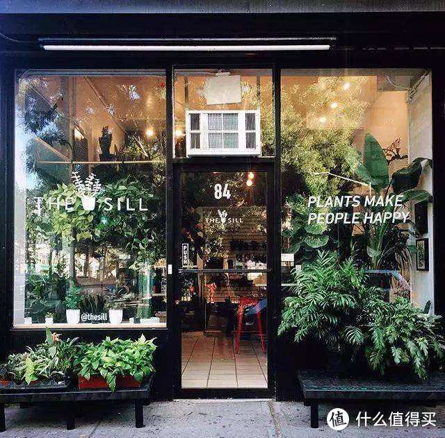 购买渠道避坑指南,附13家私藏植物淘宝店推荐!
